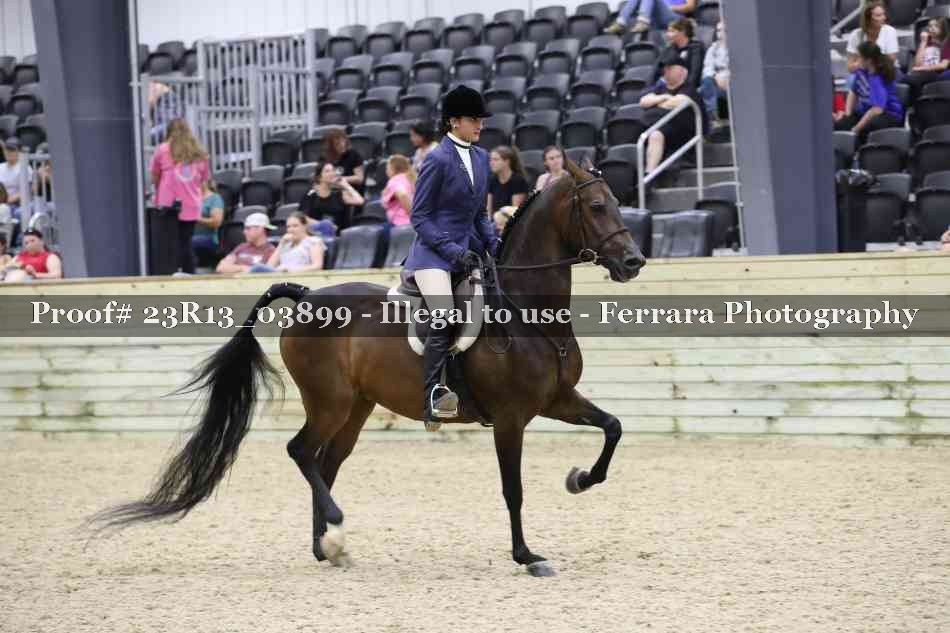 Proof 23R13_03899
