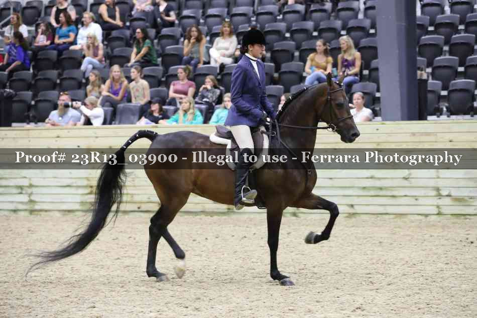 Proof 23R13_03900
