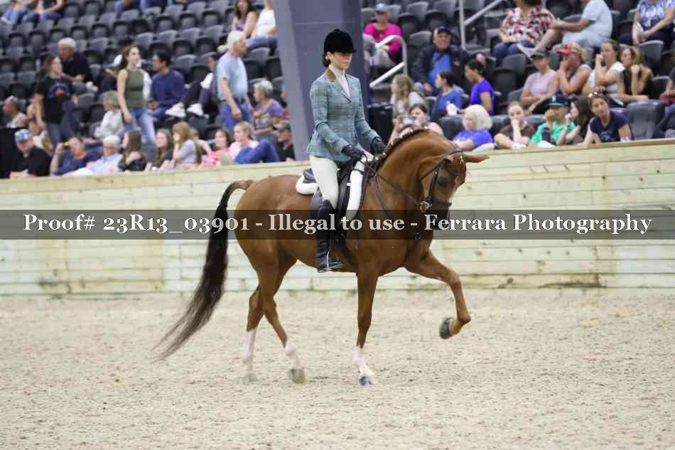 Proof 23R13_03901