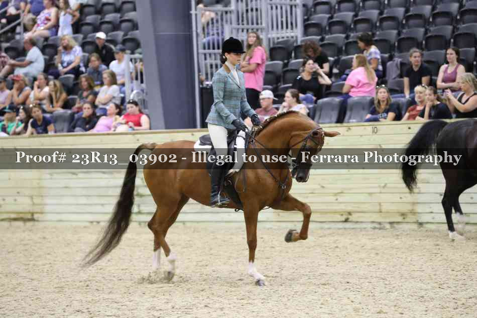 Proof 23R13_03902
