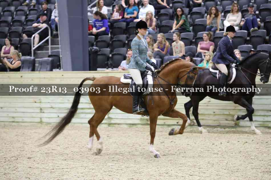 Proof 23R13_03903