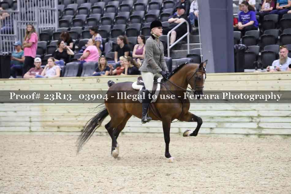 Proof 23R13_03904