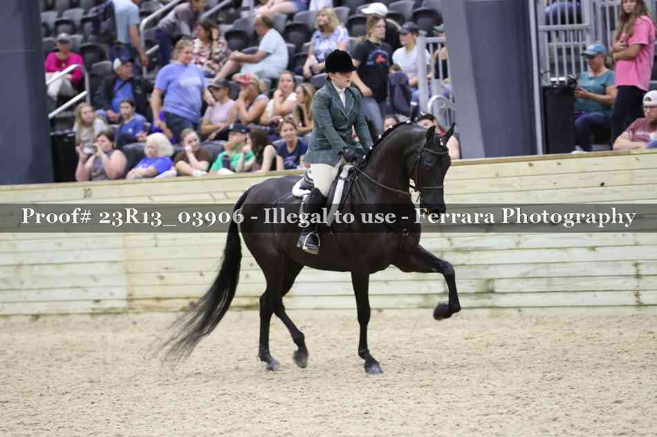 Proof 23R13_03906