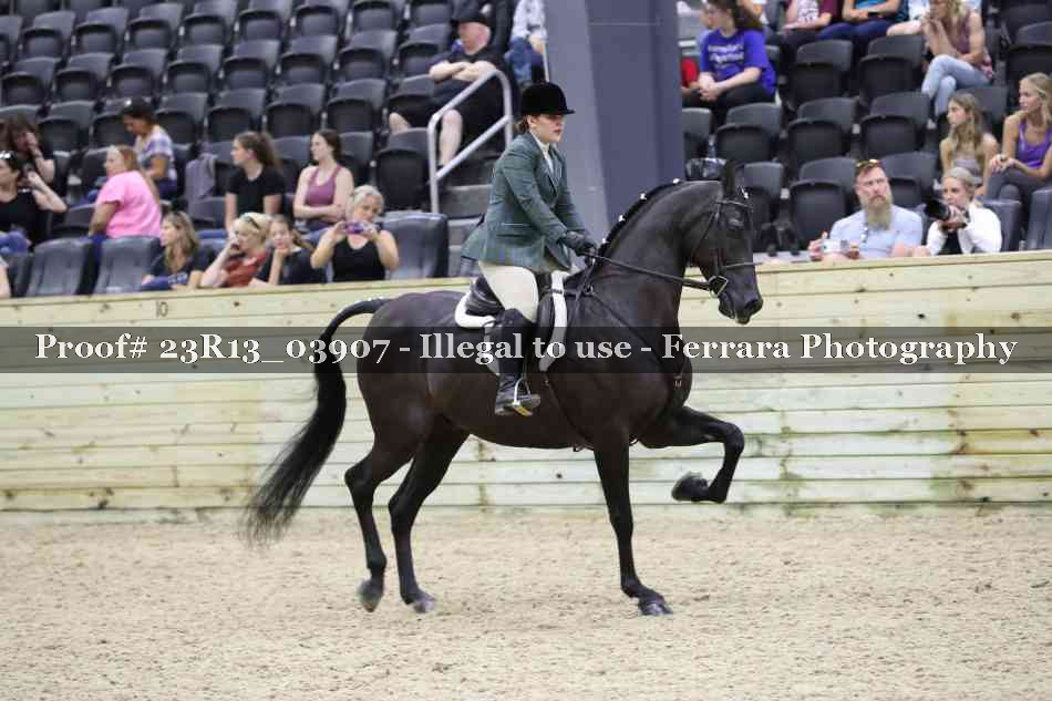 Proof 23R13_03907
