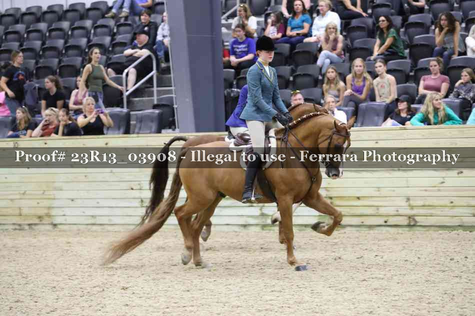 Proof 23R13_03908