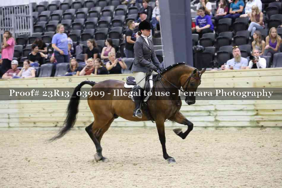 Proof 23R13_03909