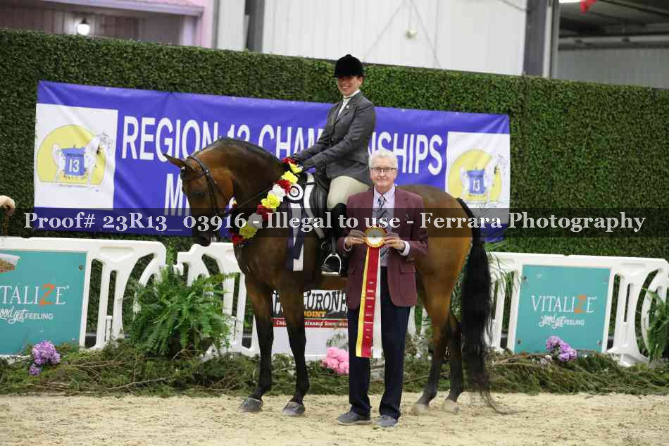 Proof 23R13_03916