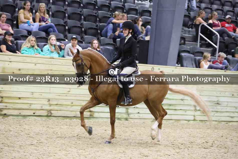 Proof 23R13_03928