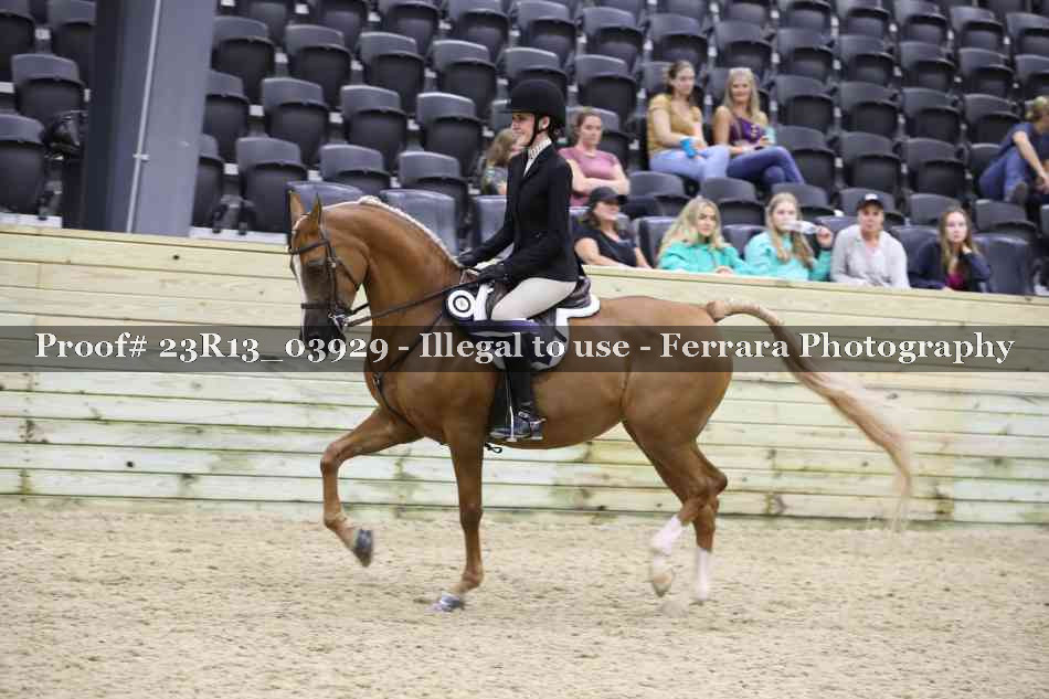 Proof 23R13_03929