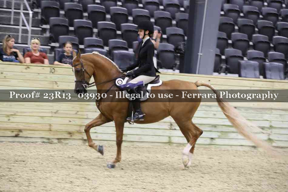 Proof 23R13_03930