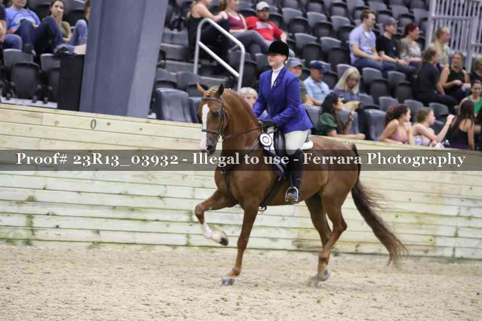 Proof 23R13_03932