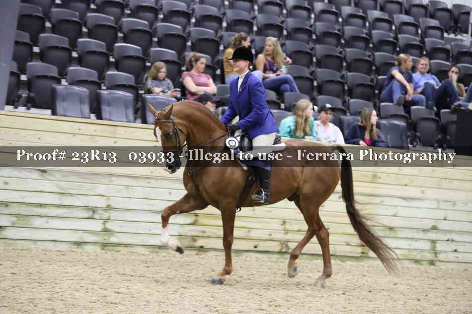 Proof 23R13_03933