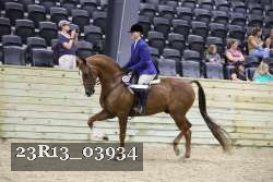 23R13_03934 proof