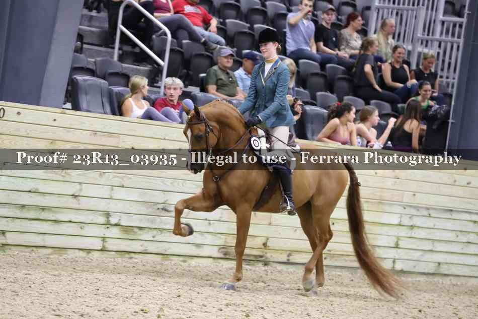Proof 23R13_03935