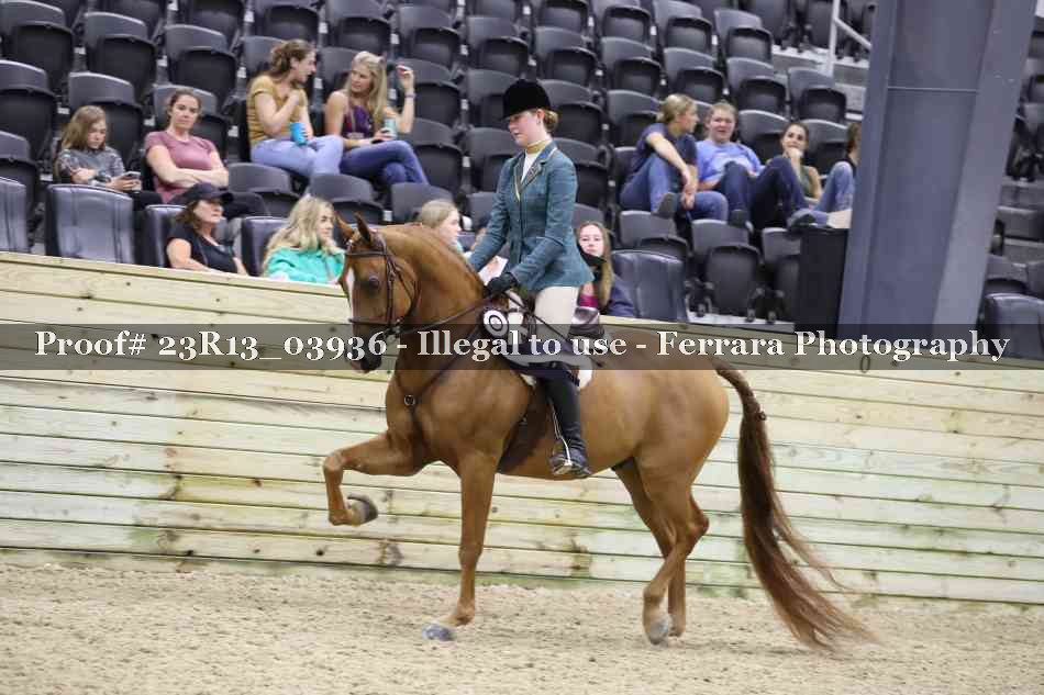 Proof 23R13_03936