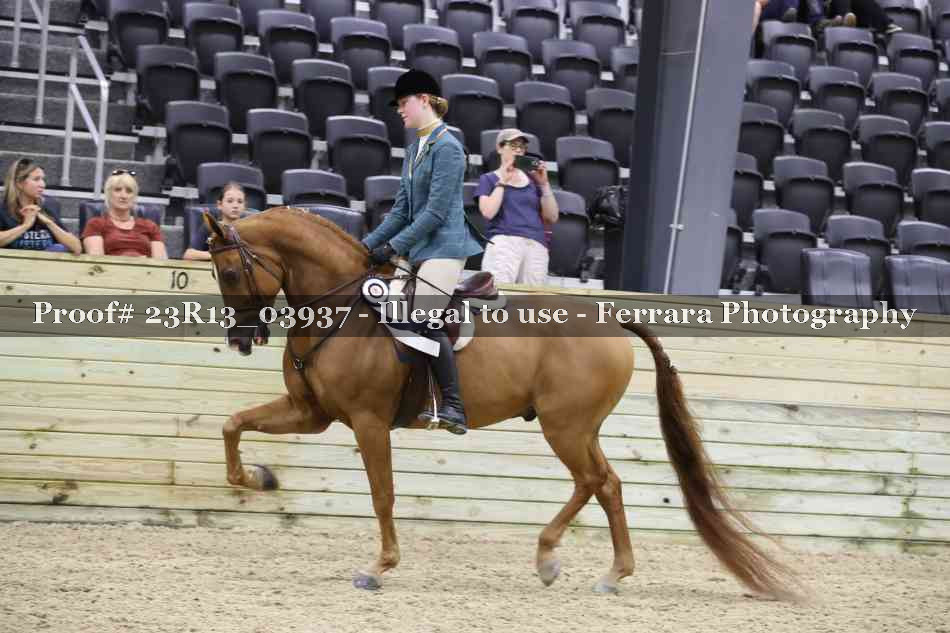 Proof 23R13_03937