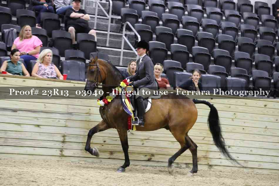 Proof 23R13_03940