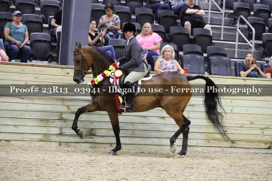 Proof 23R13_03941
