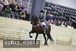 23R13_03942 proof
