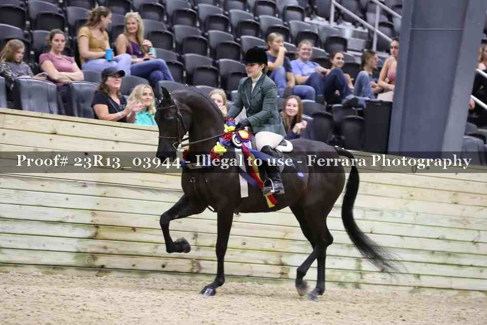 Proof 23R13_03944