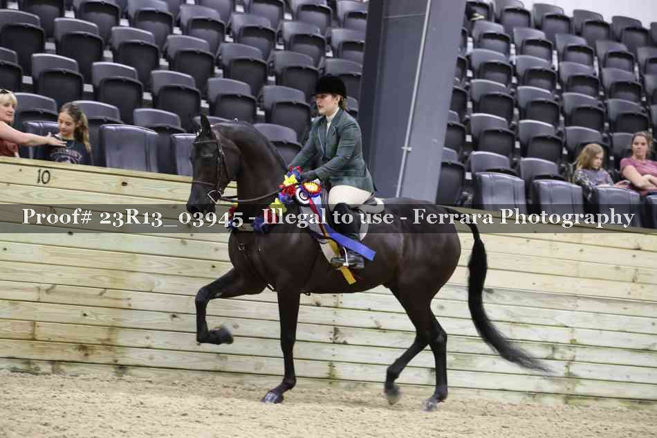 Proof 23R13_03945