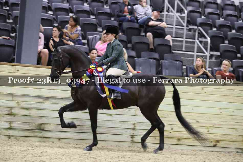 Proof 23R13_03947