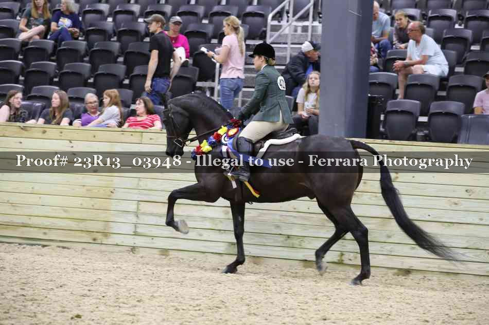 Proof 23R13_03948