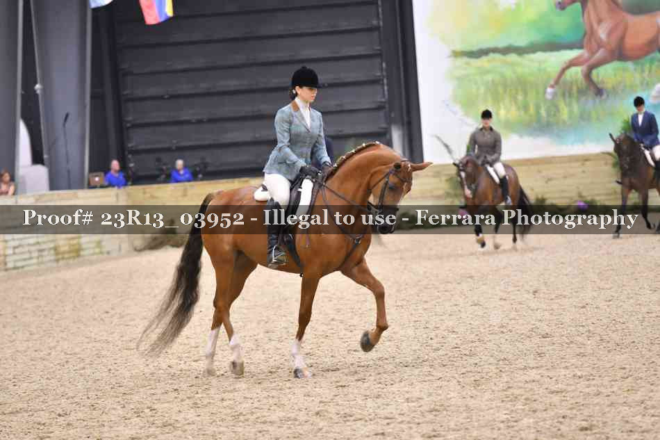 Proof 23R13_03952