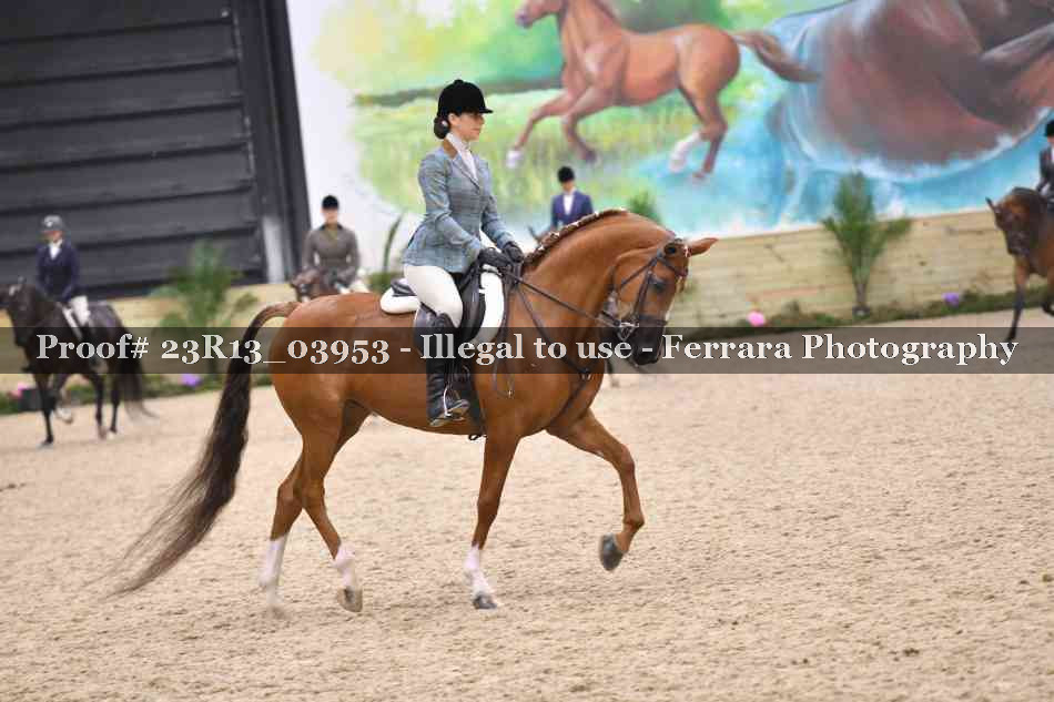 Proof 23R13_03953