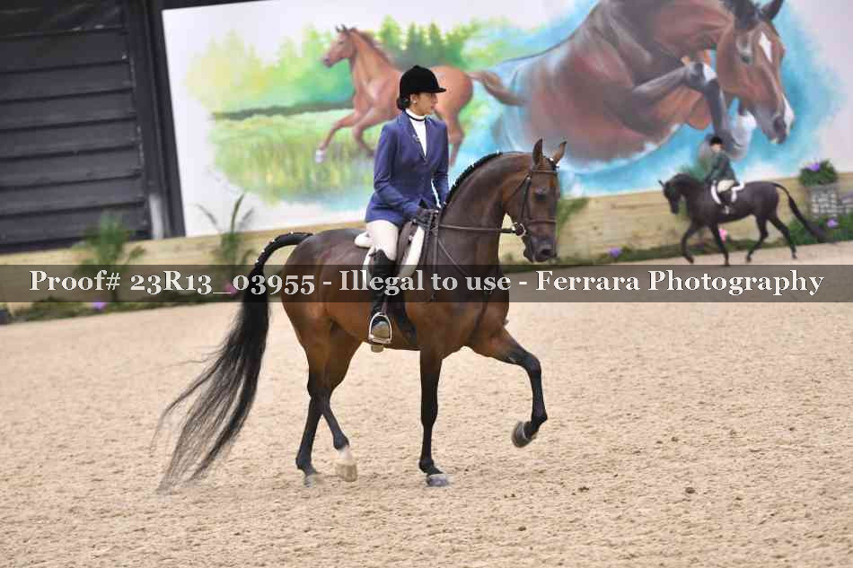 Proof 23R13_03955