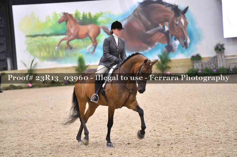 Proof 23R13_03960