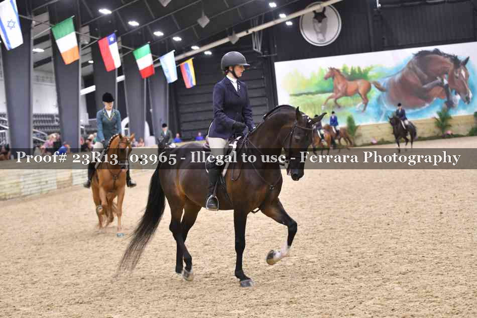 Proof 23R13_03965