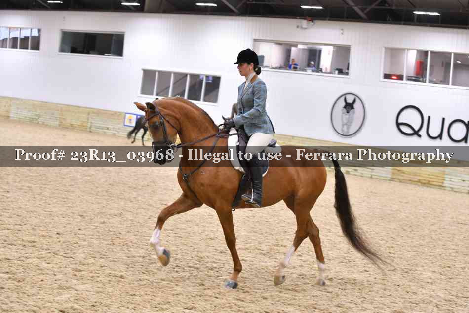 Proof 23R13_03968
