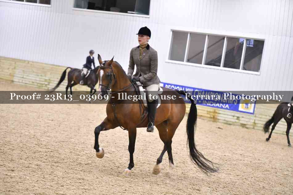 Proof 23R13_03969