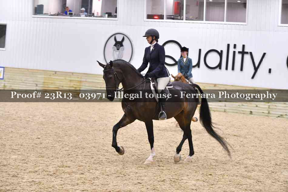 Proof 23R13_03971