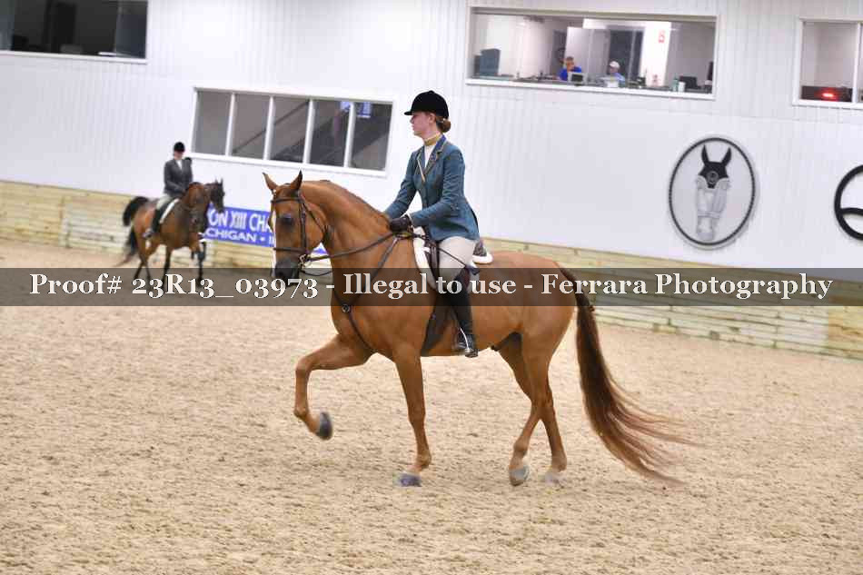 Proof 23R13_03973