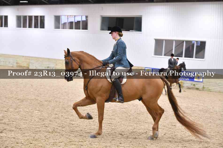 Proof 23R13_03974