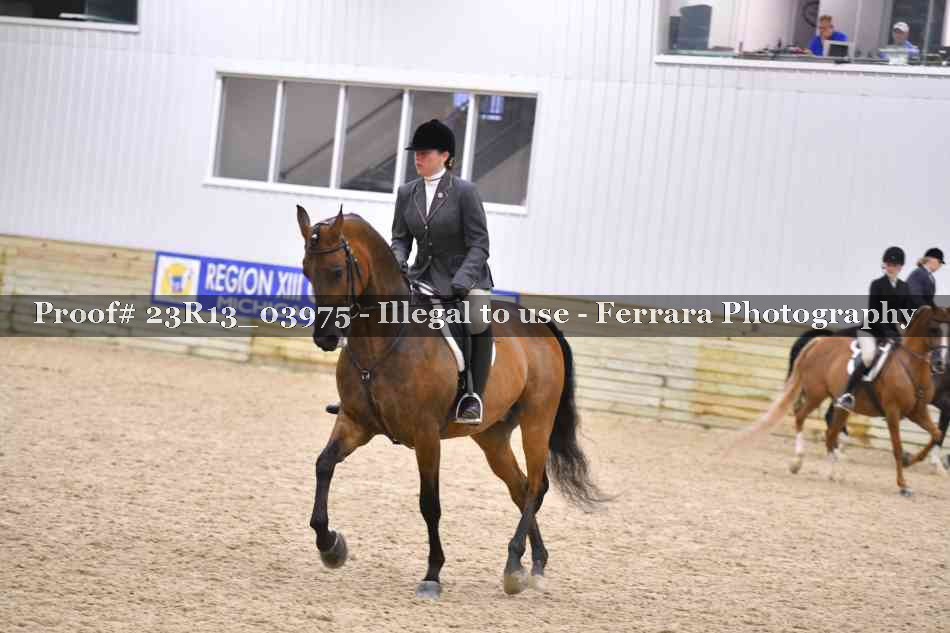 Proof 23R13_03975
