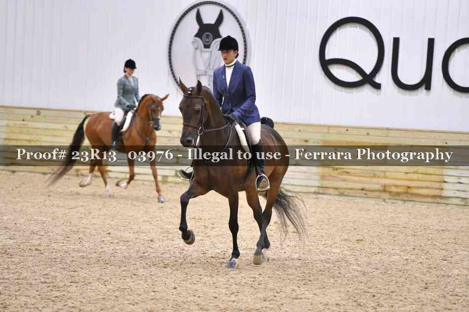 Proof 23R13_03976