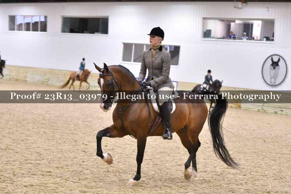Proof 23R13_03979