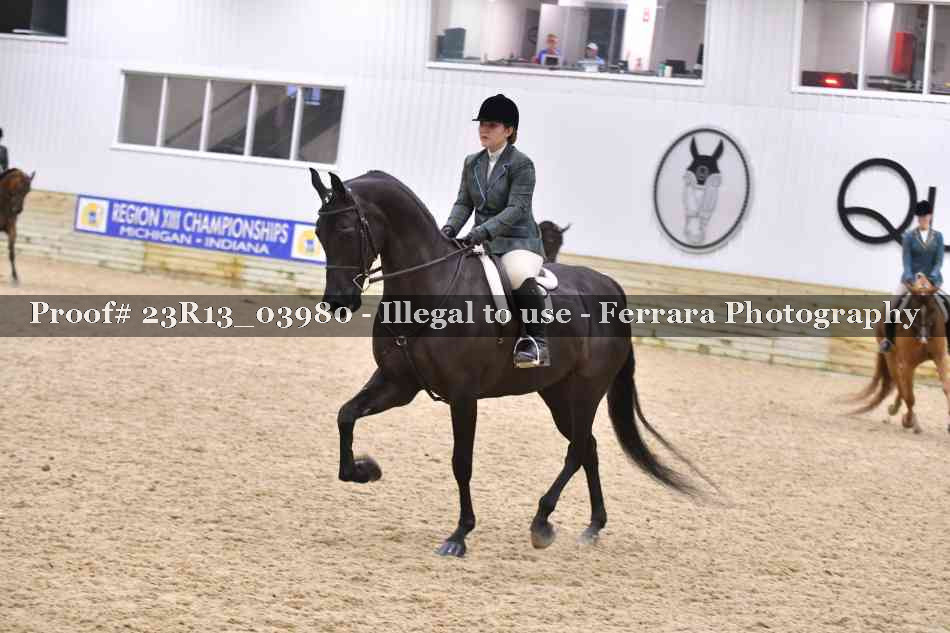Proof 23R13_03980