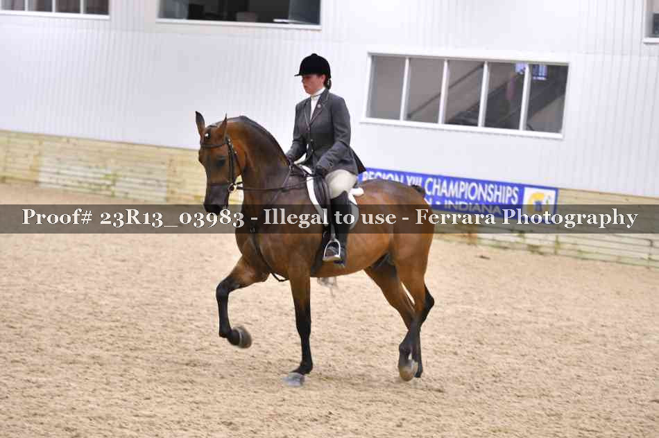 Proof 23R13_03983