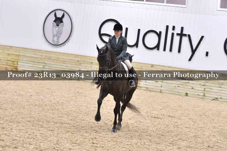 Proof 23R13_03984