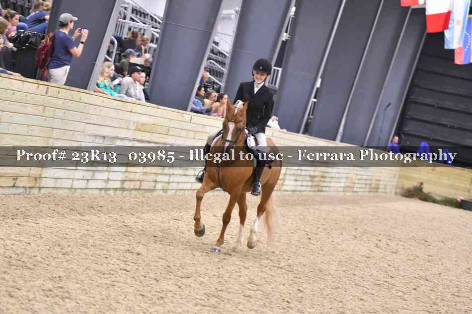 Proof 23R13_03985