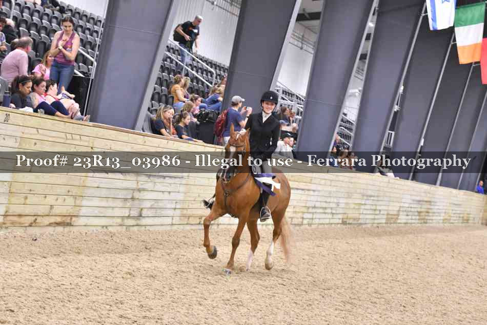 Proof 23R13_03986