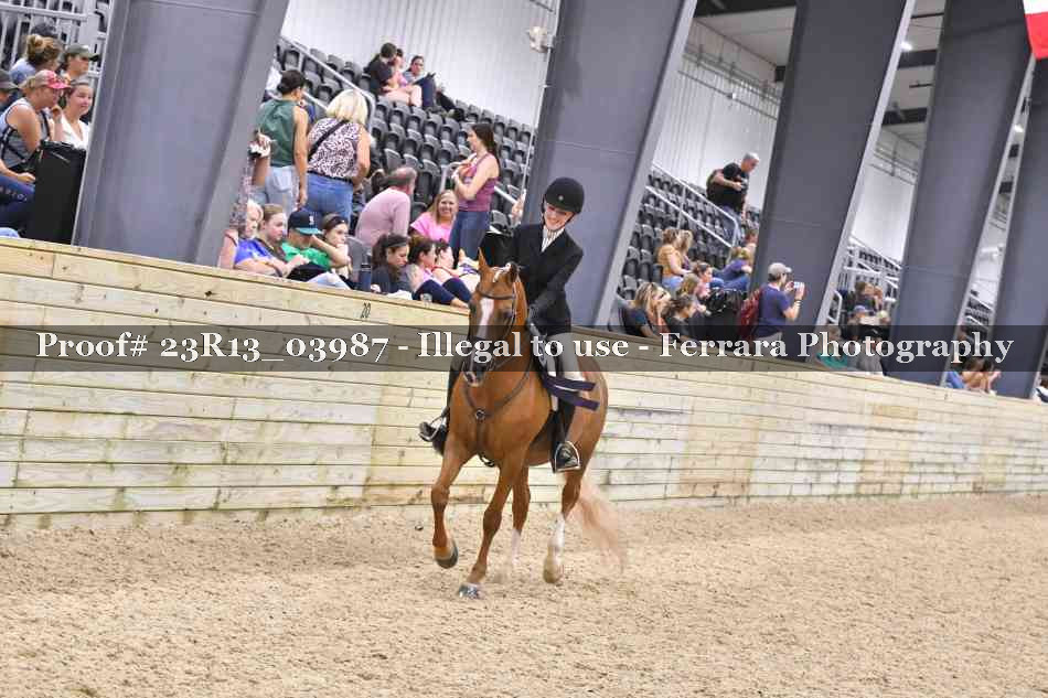 Proof 23R13_03987