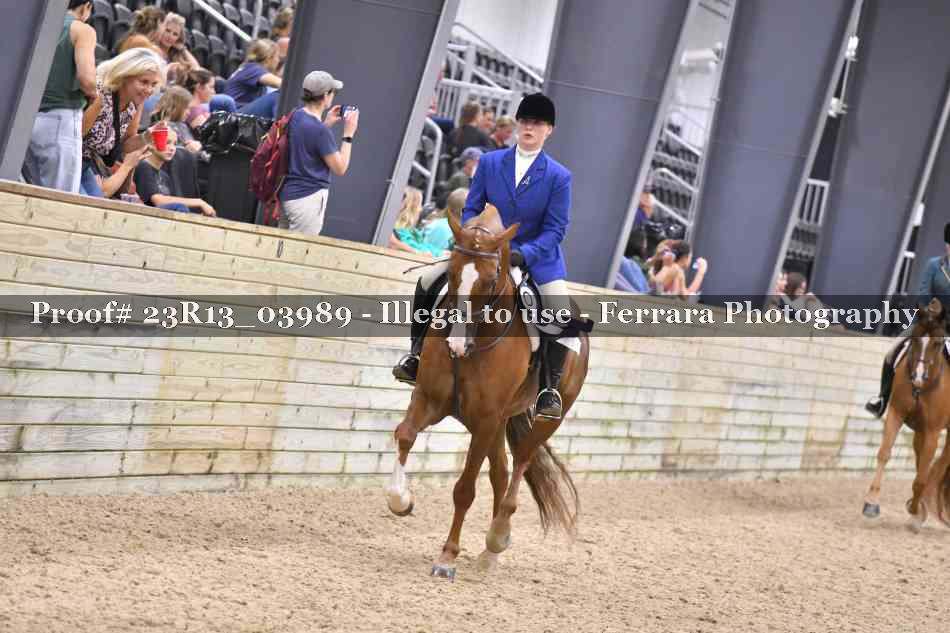 Proof 23R13_03989