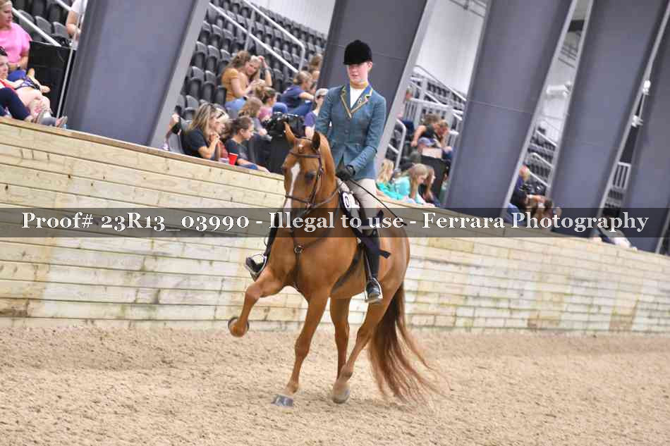 Proof 23R13_03990