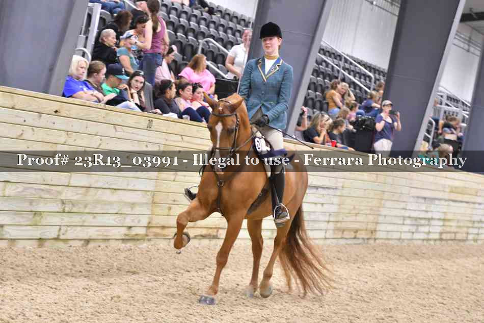 Proof 23R13_03991