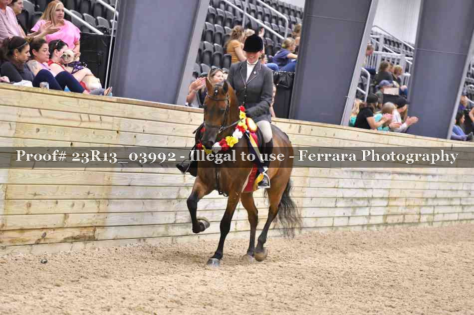Proof 23R13_03992